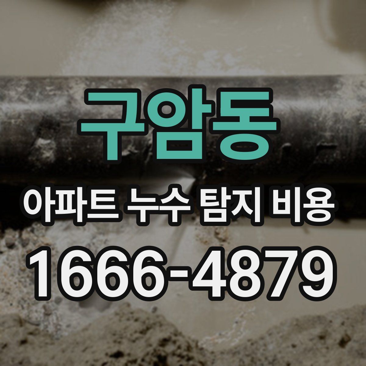구암동 아파트 누수 탐지 비용