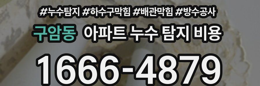 구암동 아파트 누수 탐지 비용