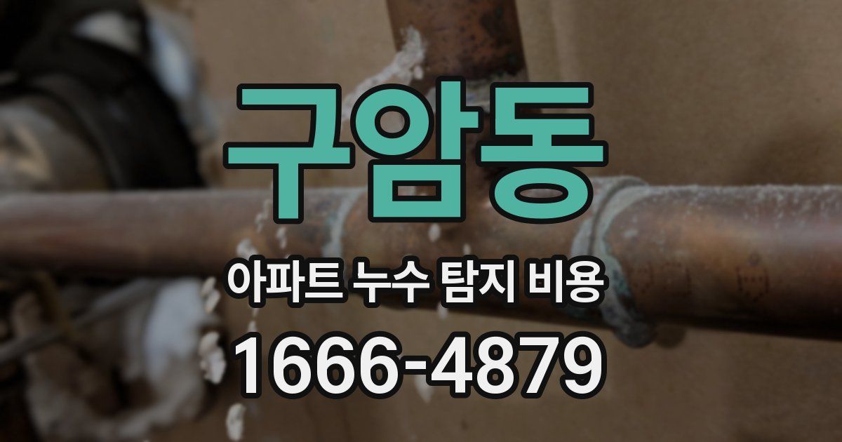 구암동 아파트 누수 탐지 비용