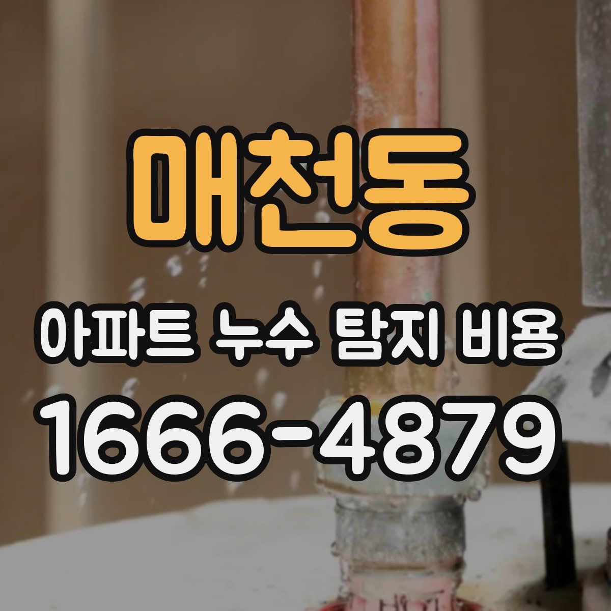 매천동 아파트 누수 탐지 비용