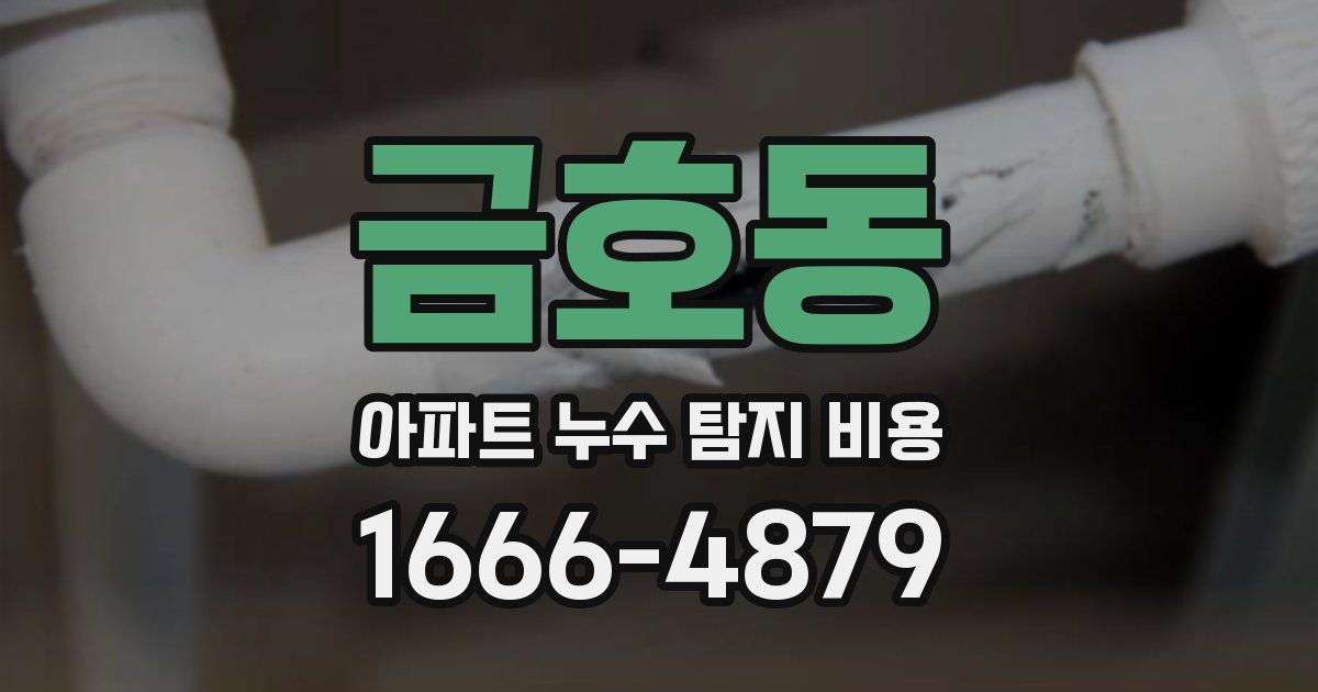 금호동 아파트 누수 탐지 비용