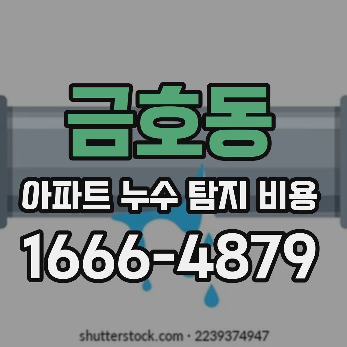 금호동 아파트 누수 탐지 비용