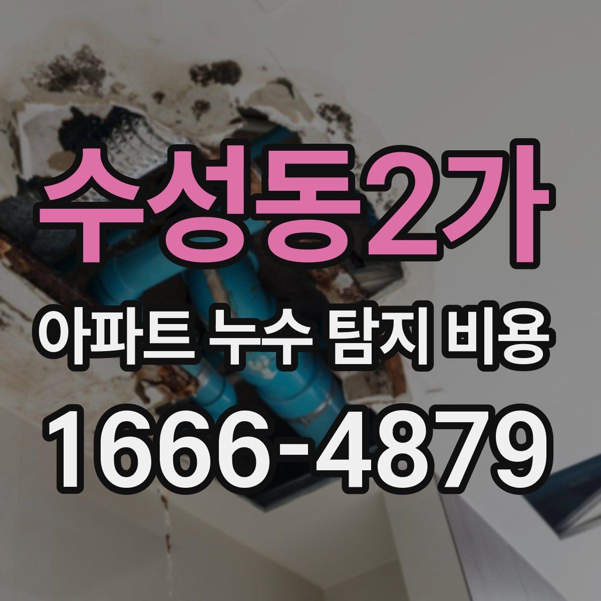 수성동2가 아파트 누수 탐지 비용