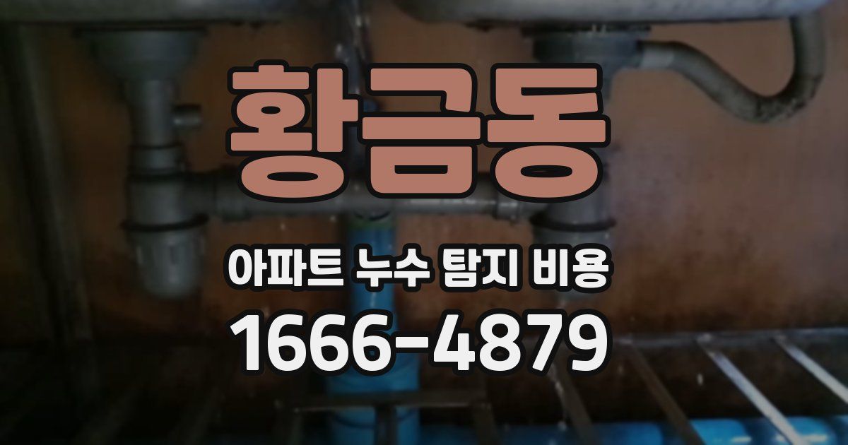 황금동 아파트 누수 탐지 비용