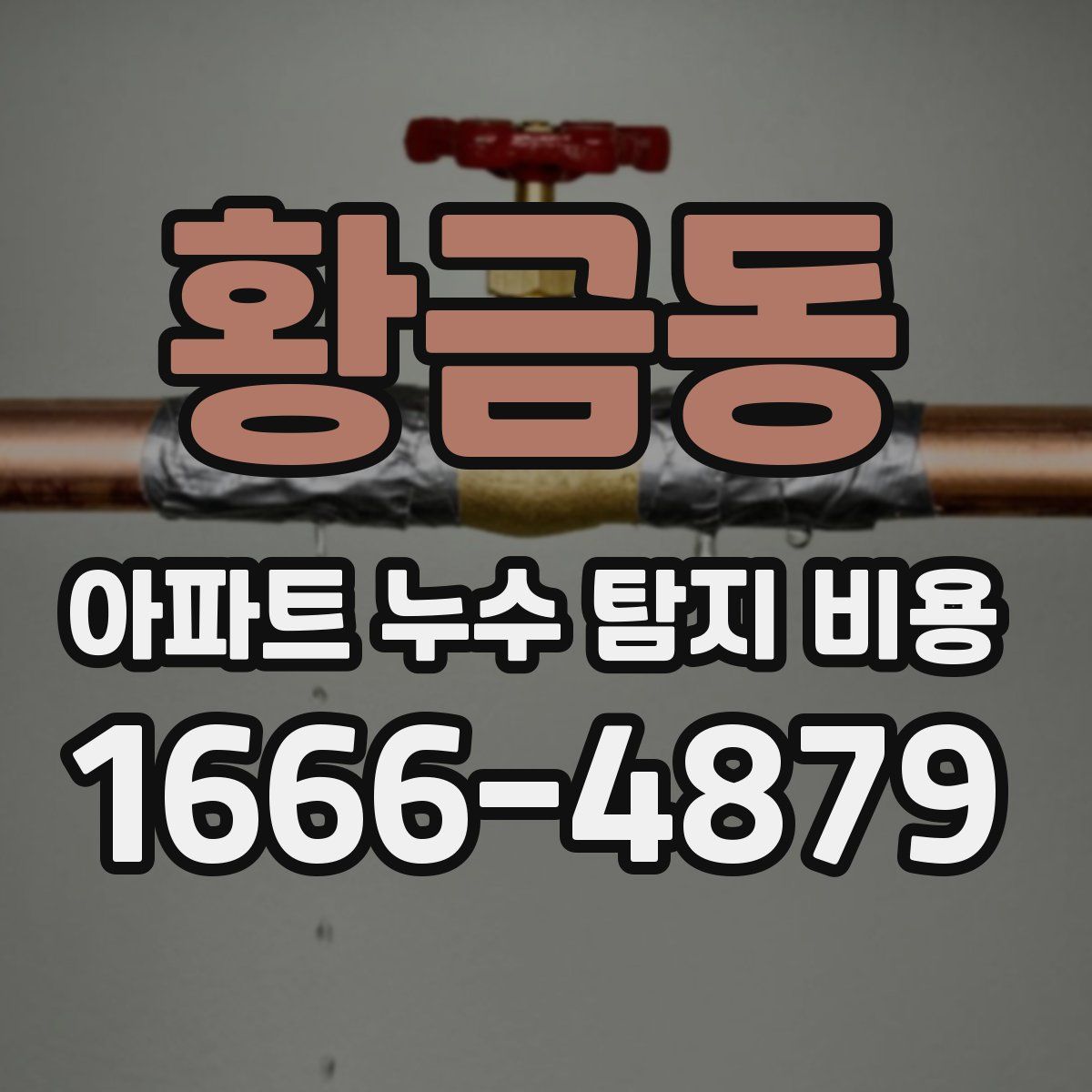 황금동 아파트 누수 탐지 비용