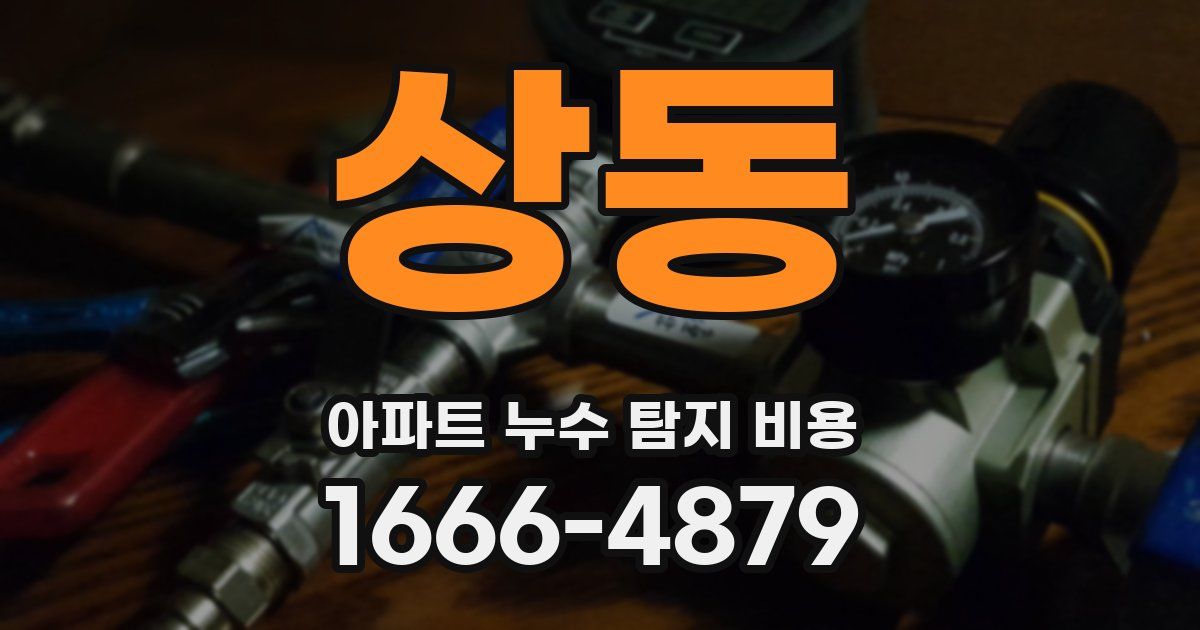 상동 아파트 누수 탐지 비용