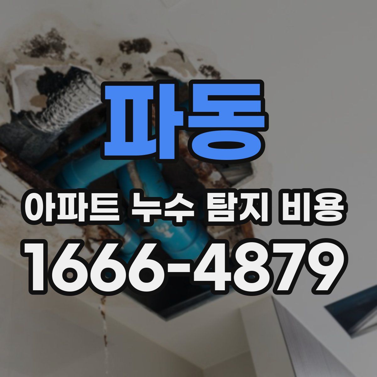 파동 아파트 누수 탐지 비용