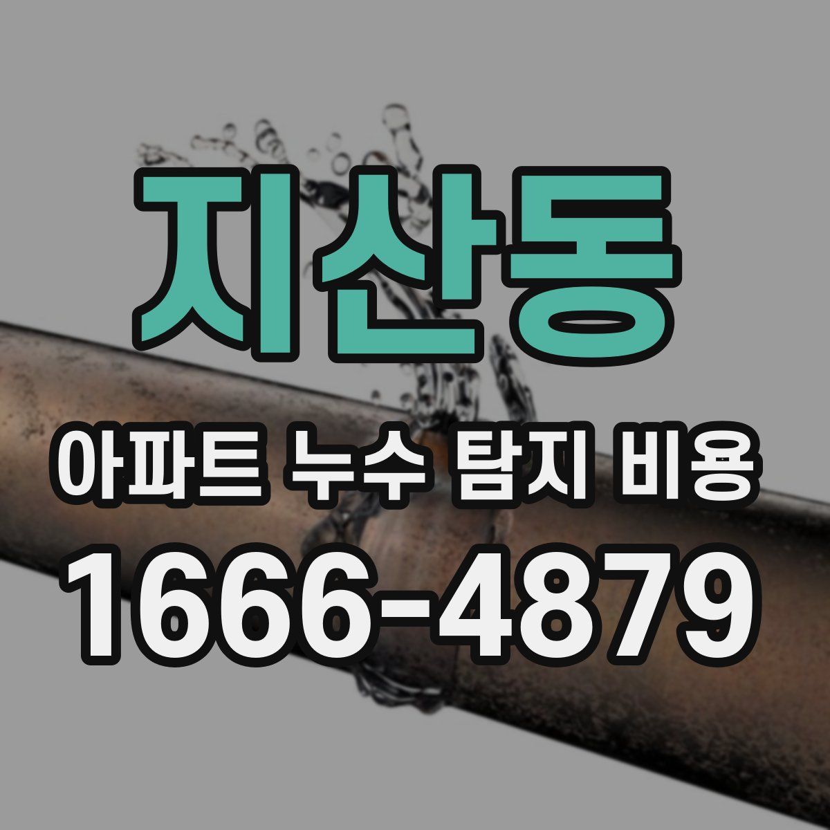 지산동 아파트 누수 탐지 비용