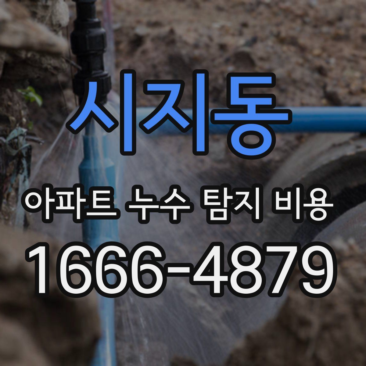 시지동 아파트 누수 탐지 비용
