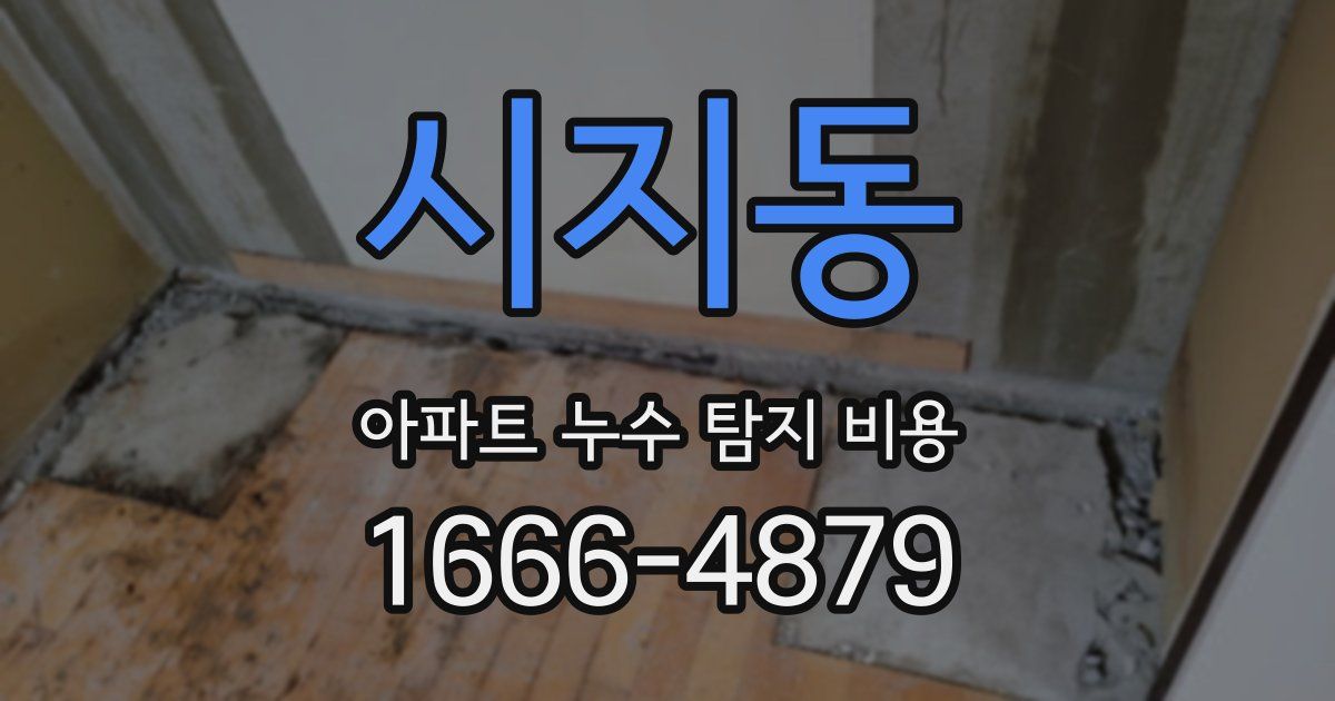 시지동 아파트 누수 탐지 비용