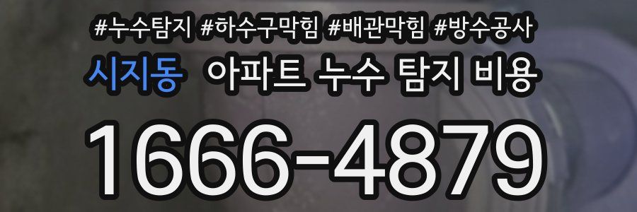 시지동 아파트 누수 탐지 비용