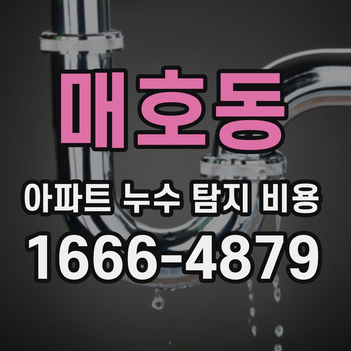 매호동 아파트 누수 탐지 비용