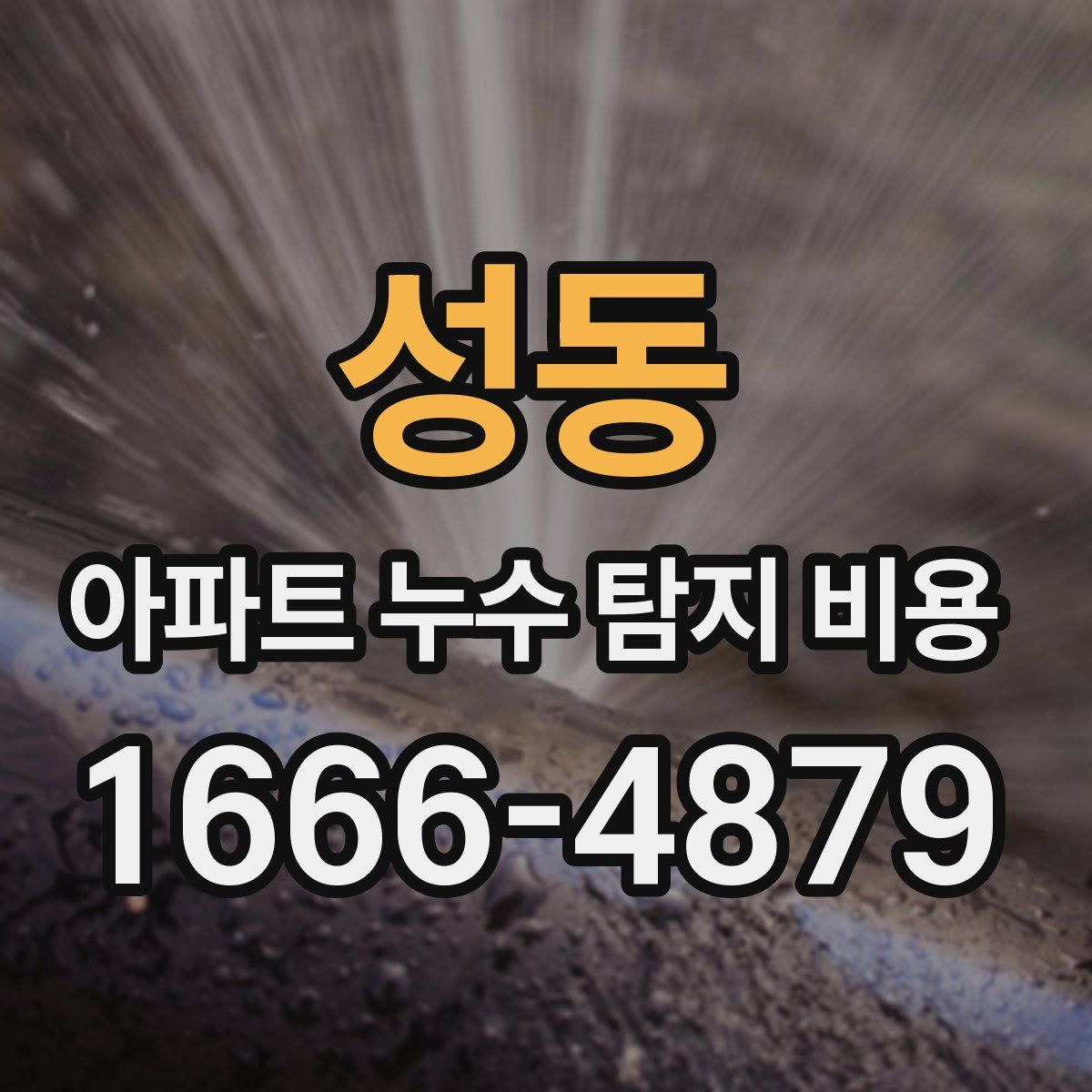 성동 아파트 누수 탐지 비용