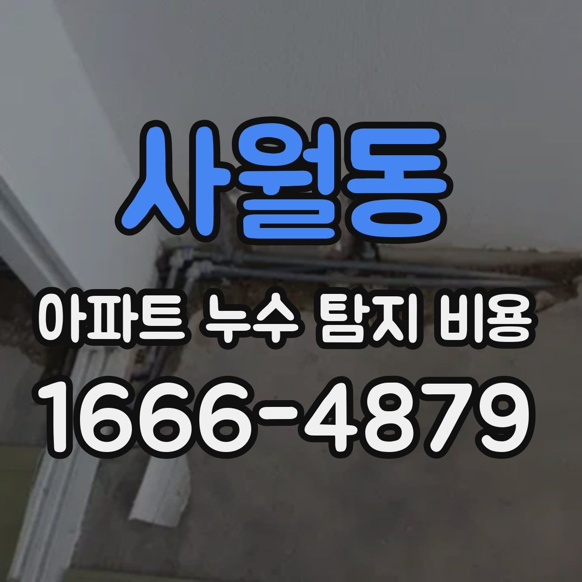사월동 아파트 누수 탐지 비용