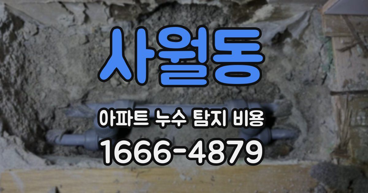 사월동 아파트 누수 탐지 비용
