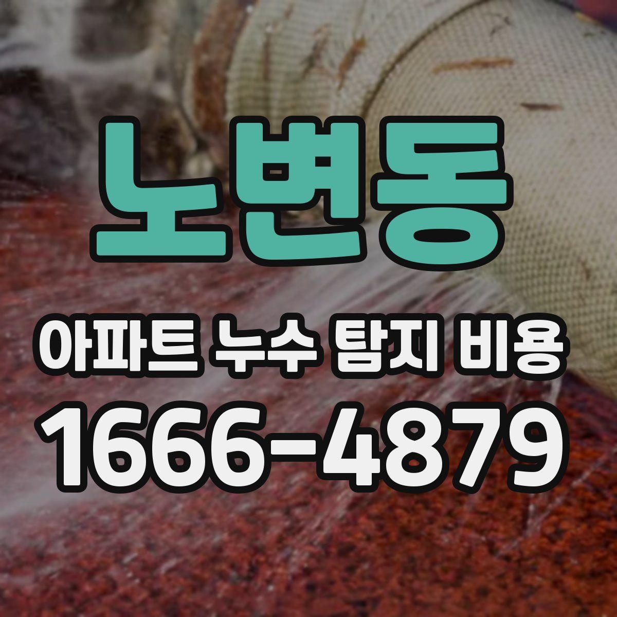 노변동 아파트 누수 탐지 비용