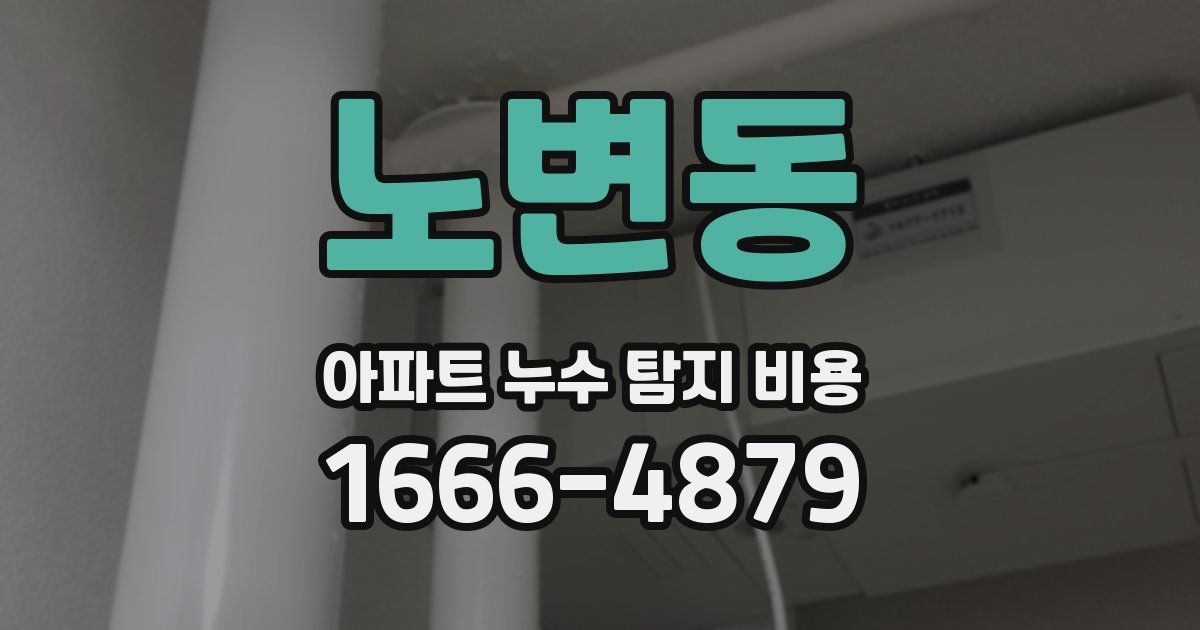 노변동 아파트 누수 탐지 비용