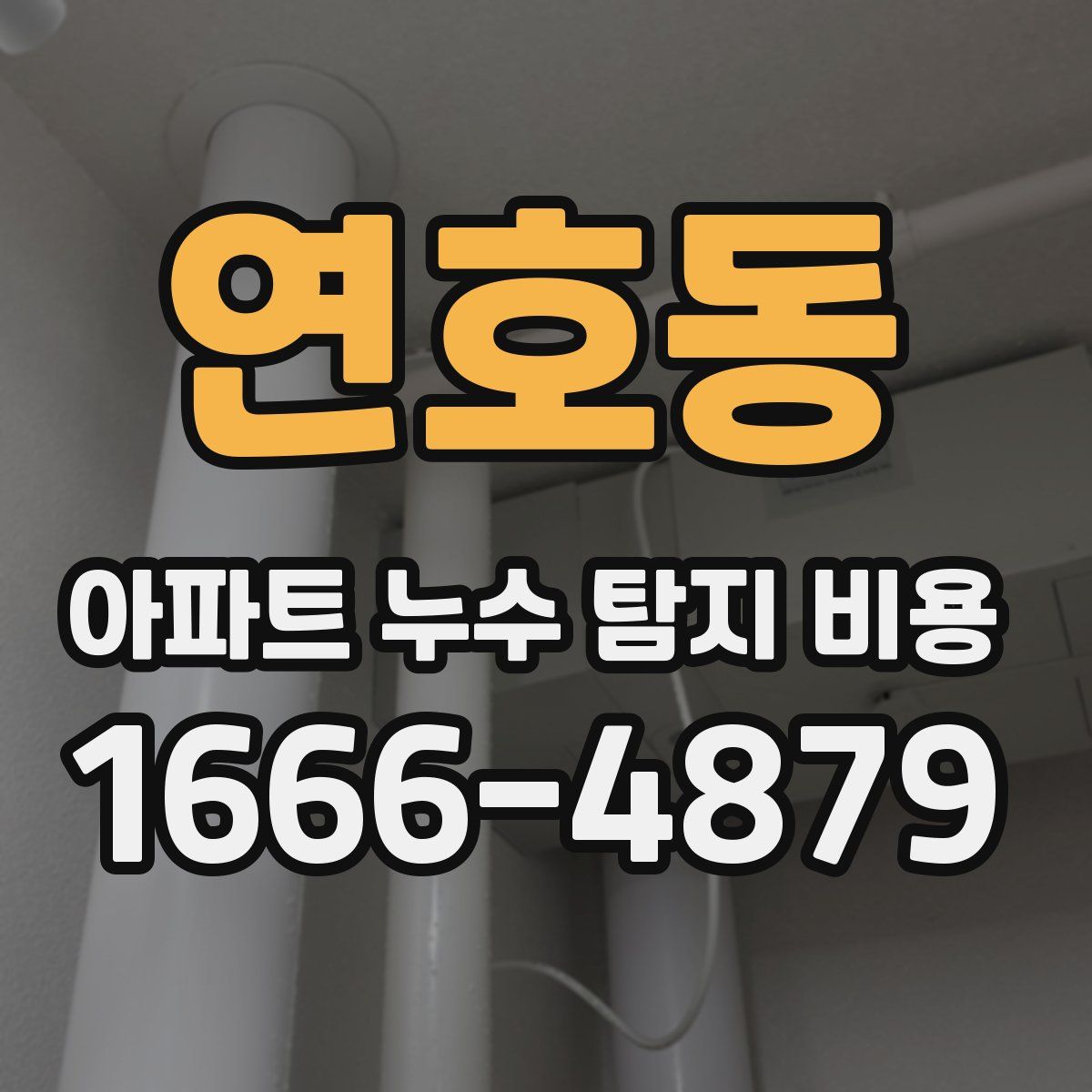 연호동 아파트 누수 탐지 비용