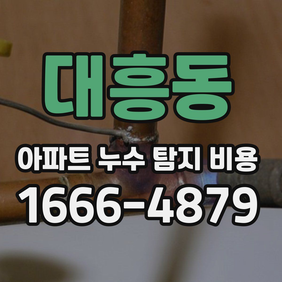 대흥동 아파트 누수 탐지 비용
