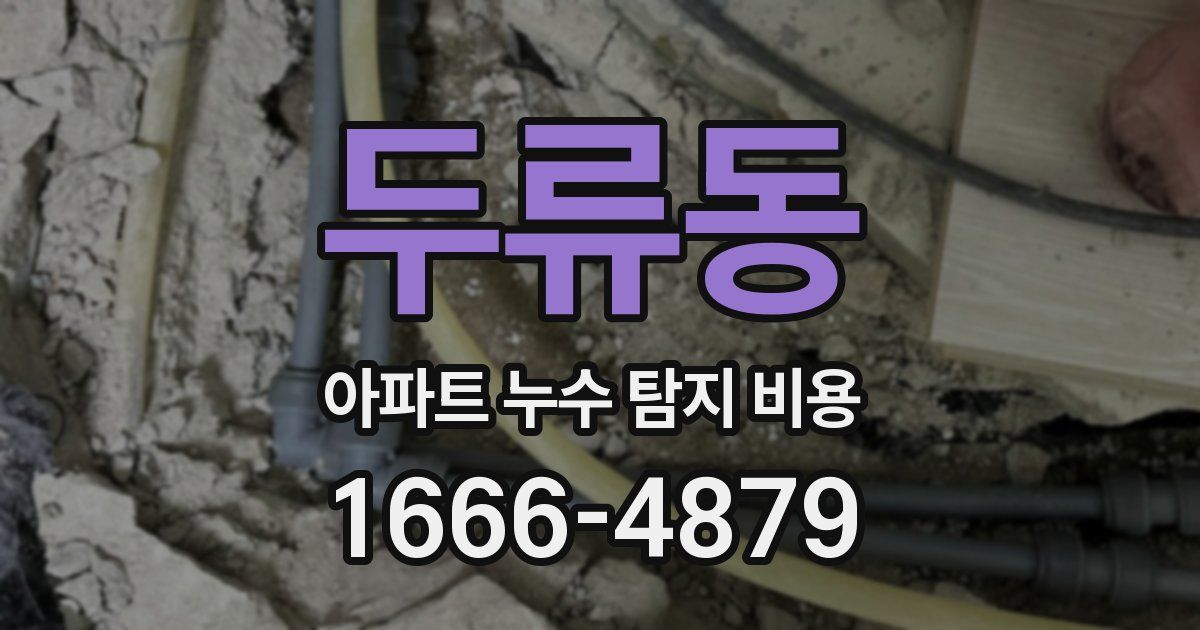 두류동 아파트 누수 탐지 비용