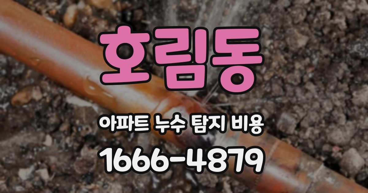 호림동 아파트 누수 탐지 비용