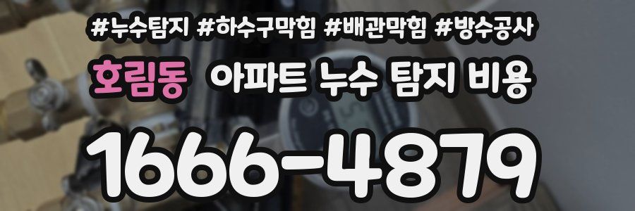 호림동 아파트 누수 탐지 비용