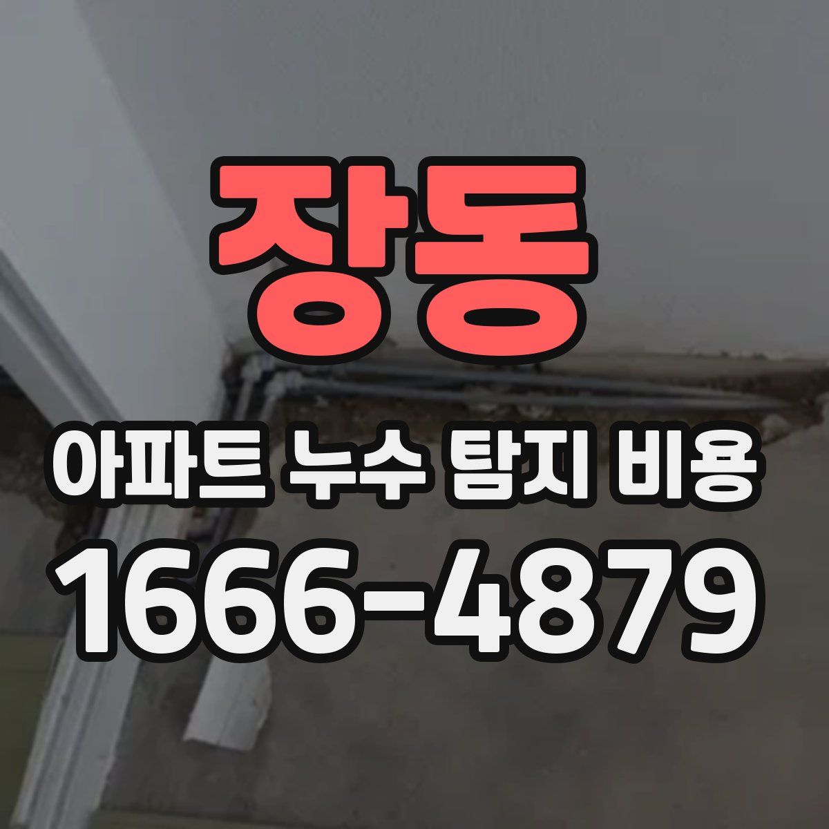 장동 아파트 누수 탐지 비용