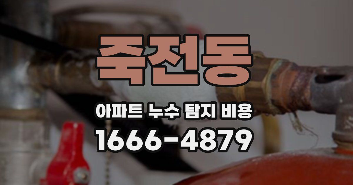 죽전동 아파트 누수 탐지 비용