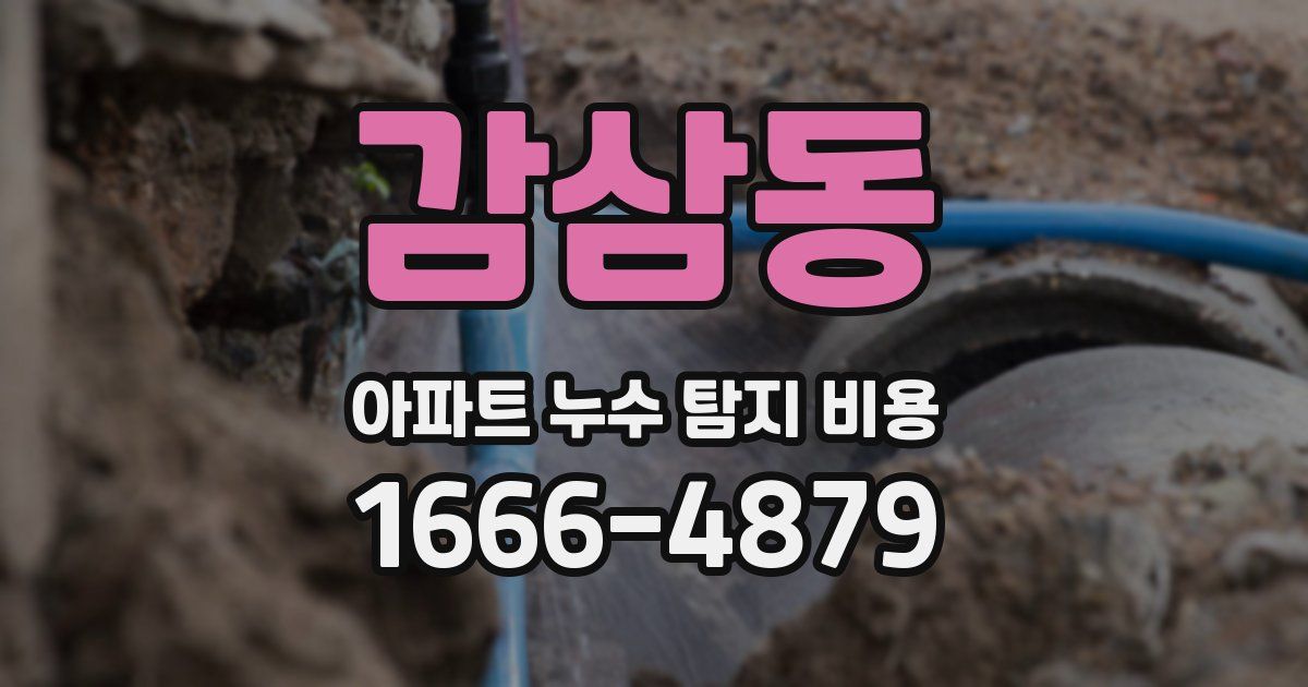 감삼동 아파트 누수 탐지 비용
