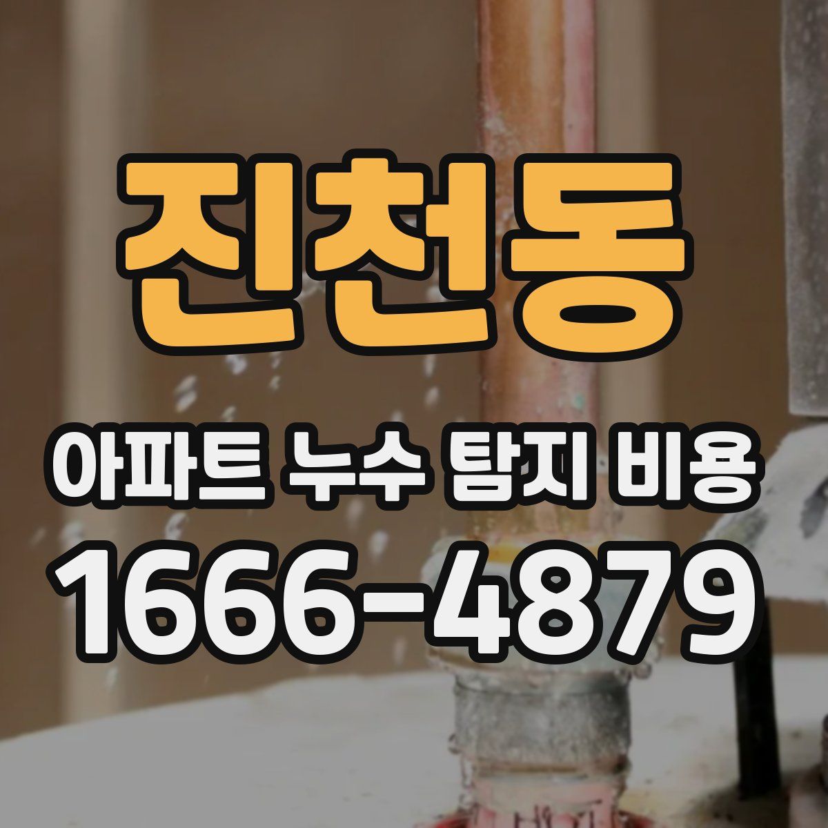 진천동 아파트 누수 탐지 비용
