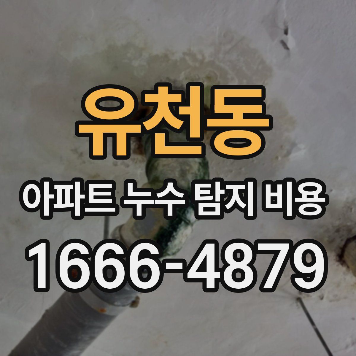 유천동 아파트 누수 탐지 비용