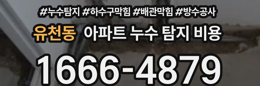 유천동 아파트 누수 탐지 비용