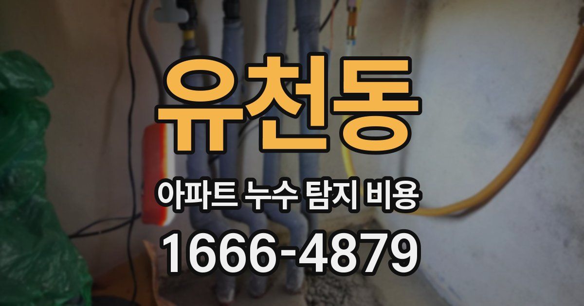 유천동 아파트 누수 탐지 비용