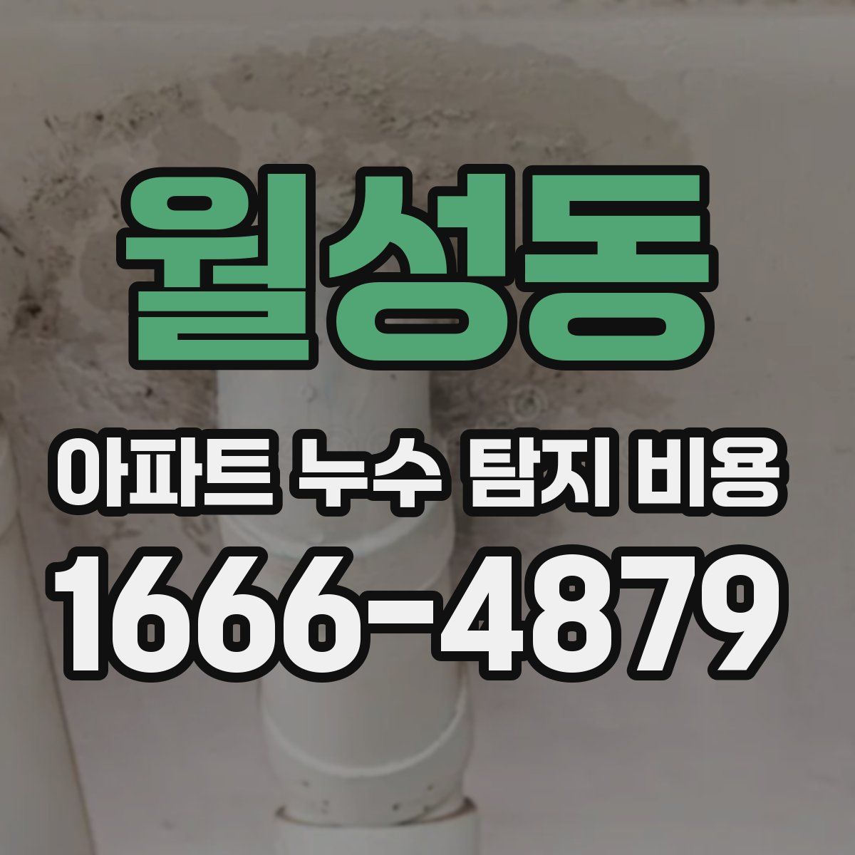 월성동 아파트 누수 탐지 비용