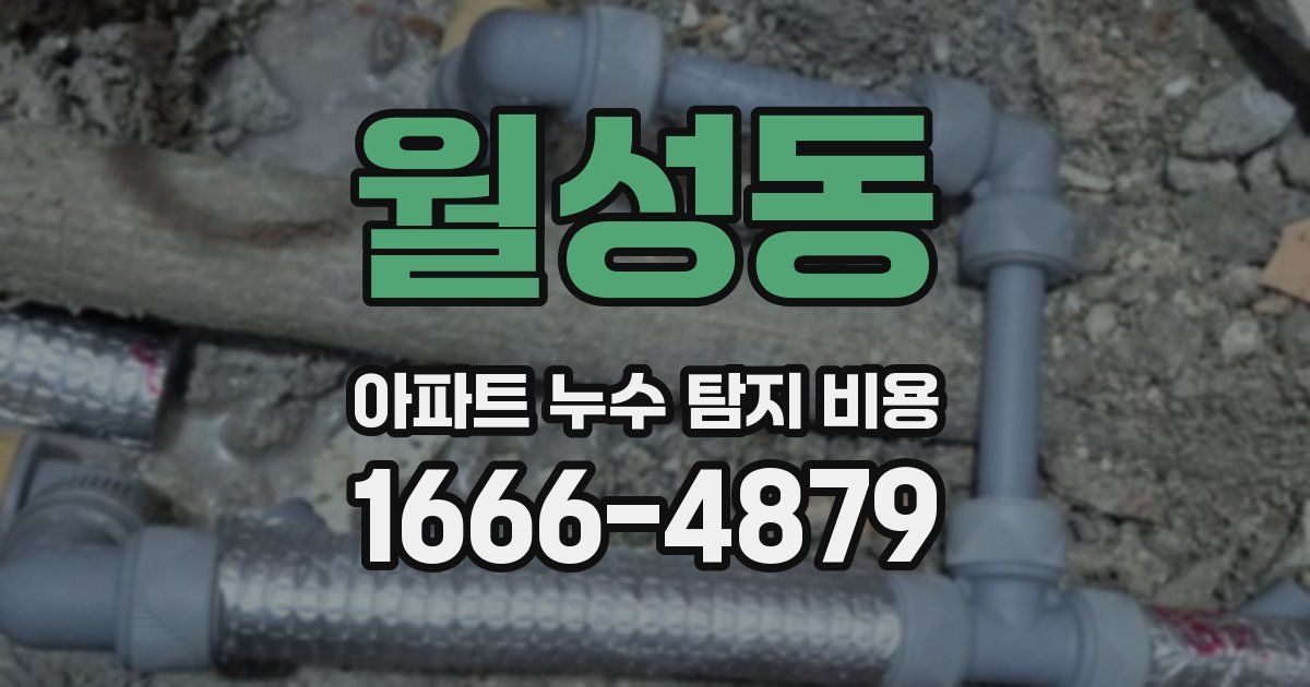 월성동 아파트 누수 탐지 비용