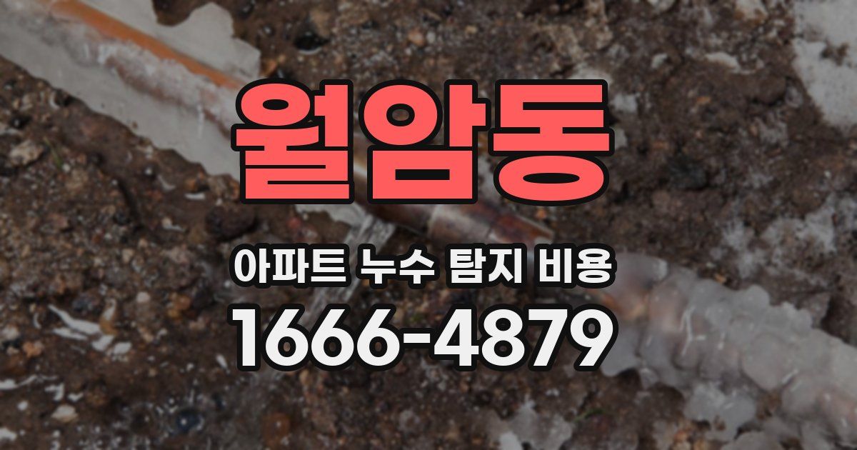 월암동 아파트 누수 탐지 비용
