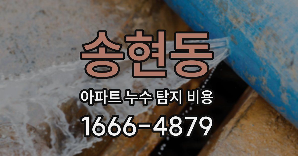 송현동 아파트 누수 탐지 비용