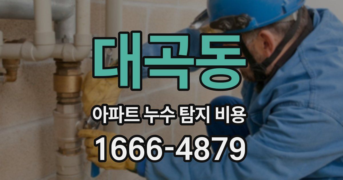 대곡동 아파트 누수 탐지 비용