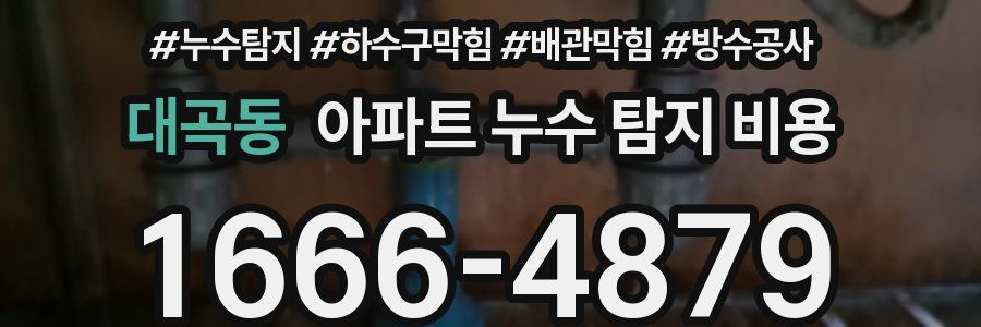 대곡동 아파트 누수 탐지 비용