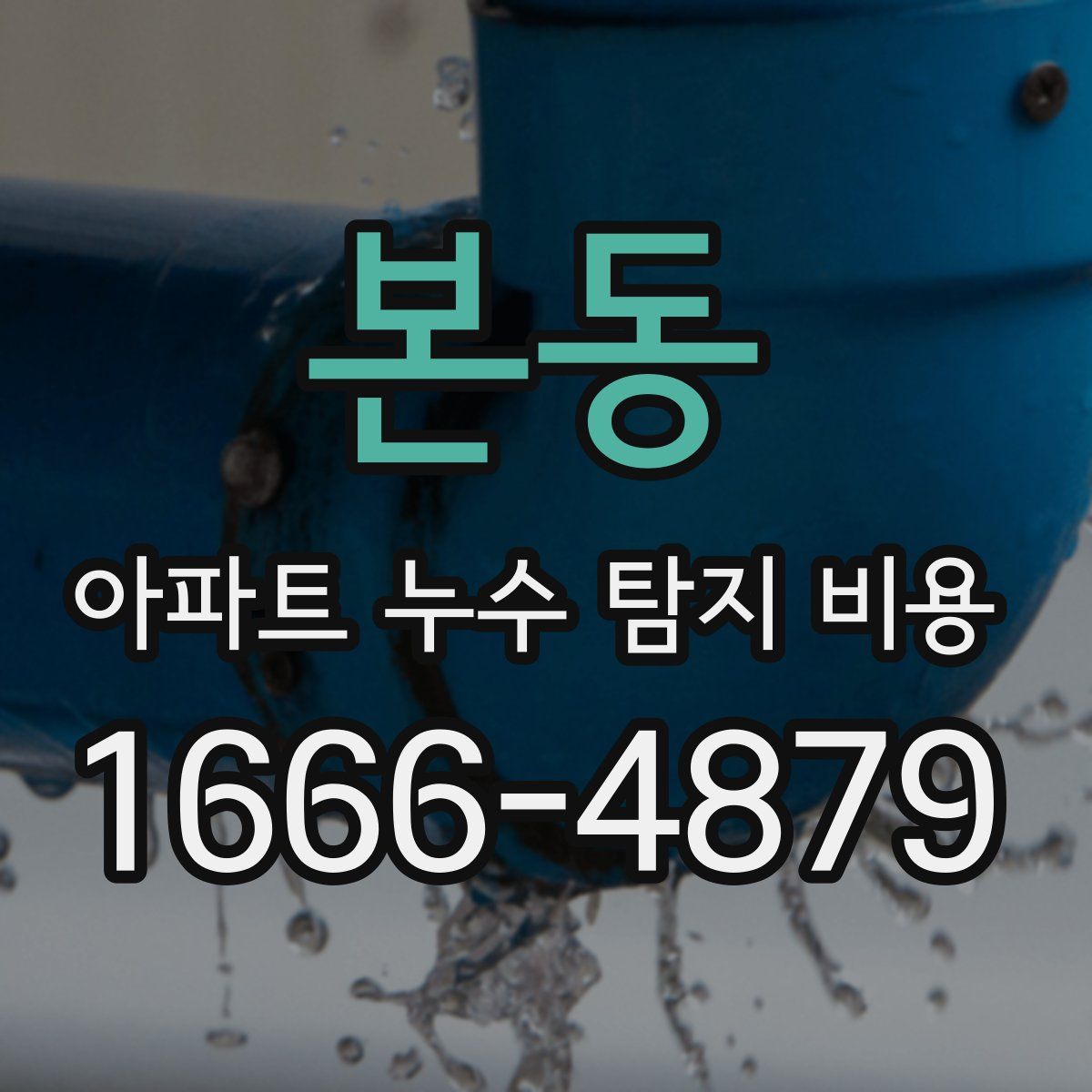본동 아파트 누수 탐지 비용