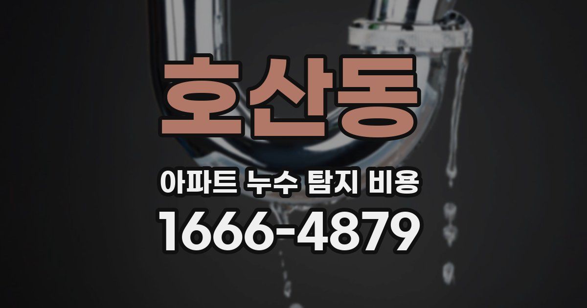 호산동 아파트 누수 탐지 비용