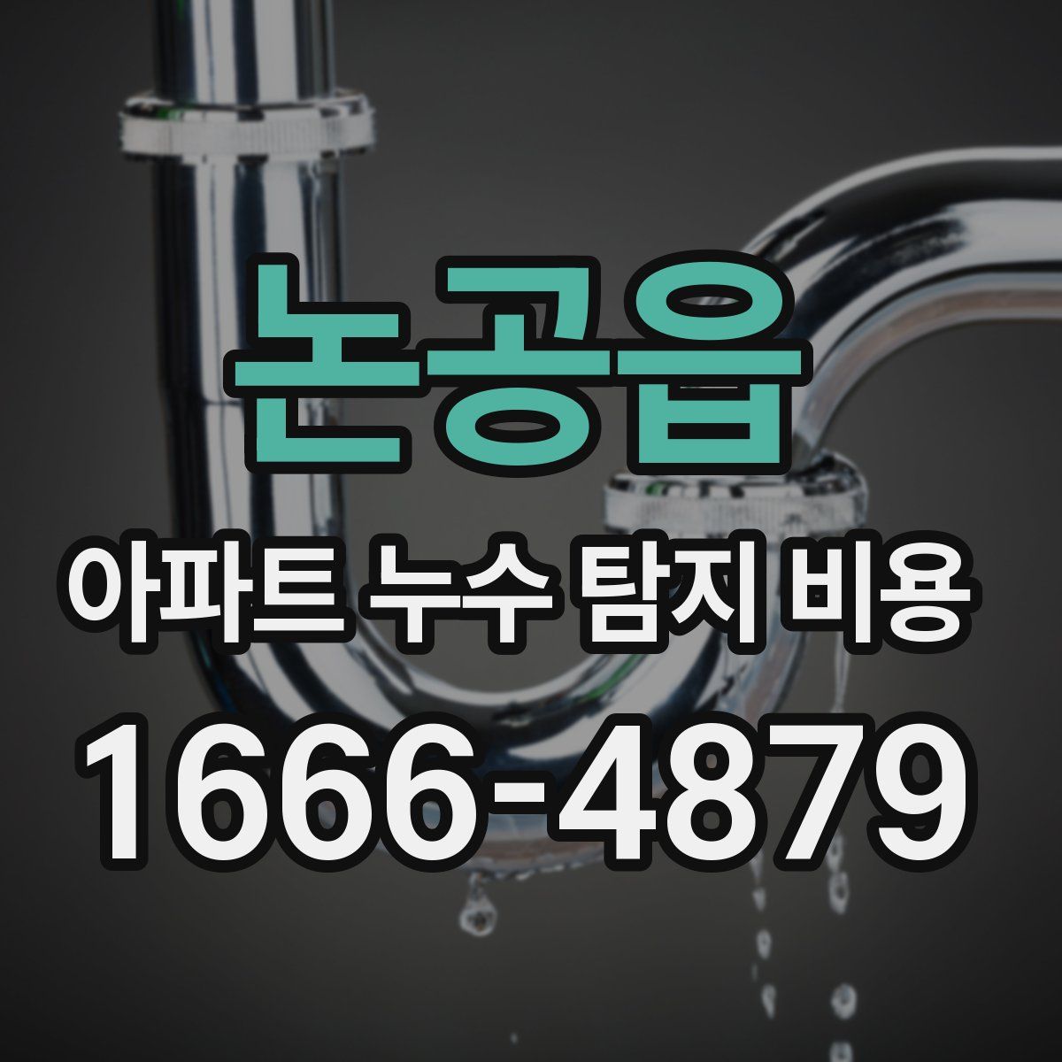 논공읍 아파트 누수 탐지 비용