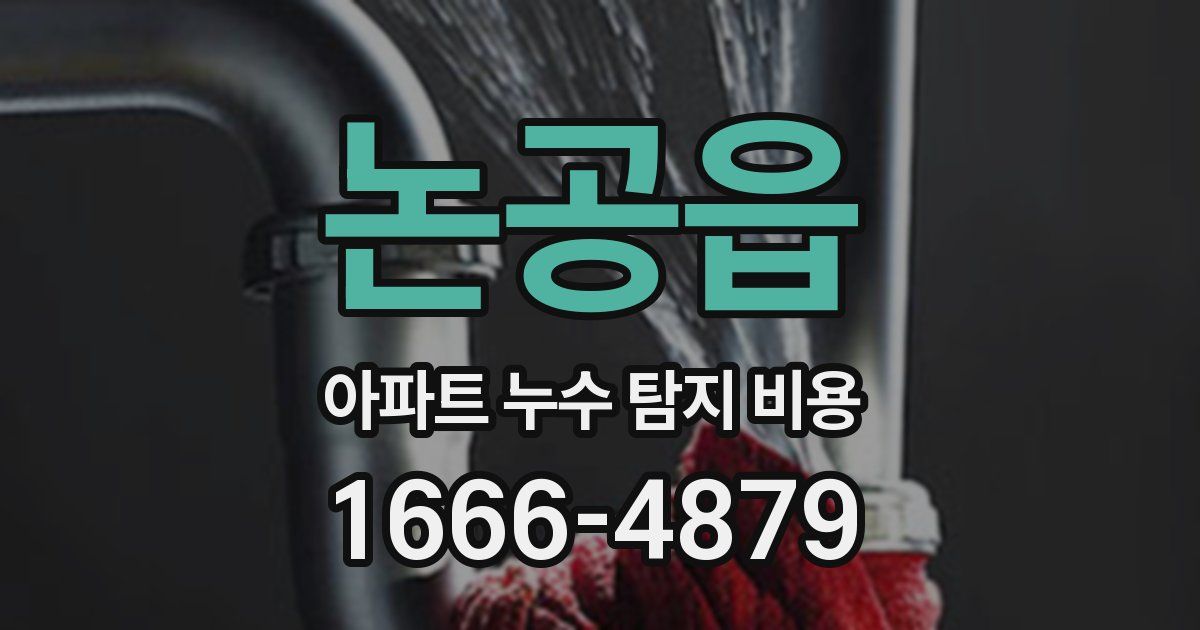 논공읍 아파트 누수 탐지 비용