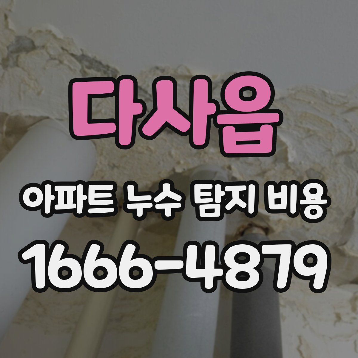 다사읍 아파트 누수 탐지 비용