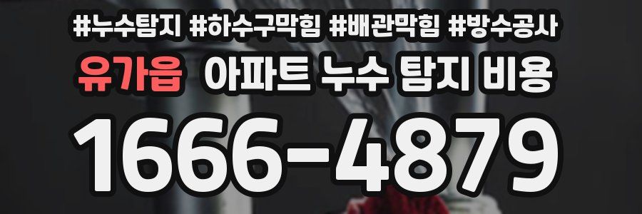 유가읍 아파트 누수 탐지 비용
