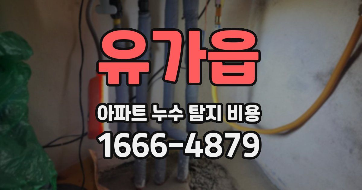 유가읍 아파트 누수 탐지 비용