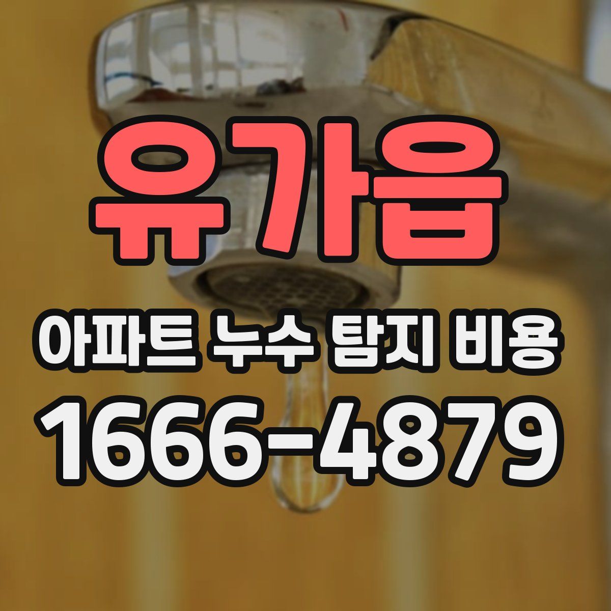 유가읍 아파트 누수 탐지 비용