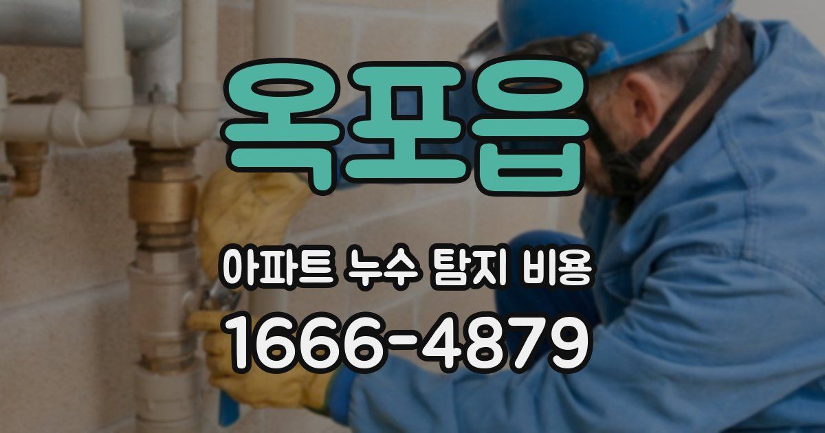옥포읍 아파트 누수 탐지 비용
