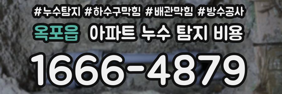 옥포읍 아파트 누수 탐지 비용