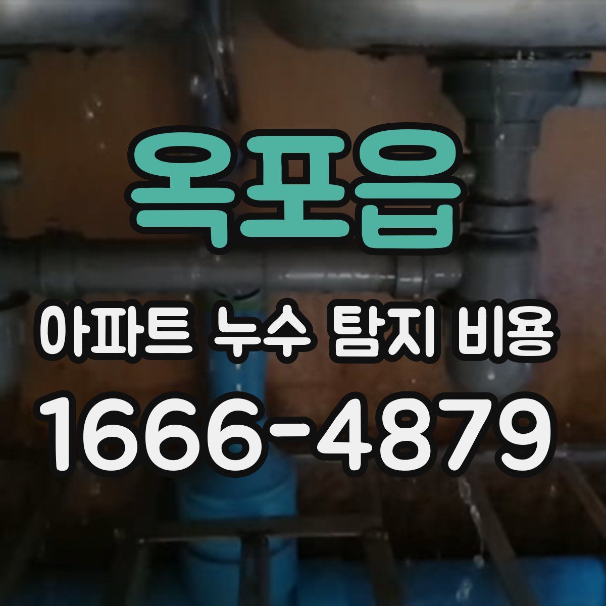 옥포읍 아파트 누수 탐지 비용